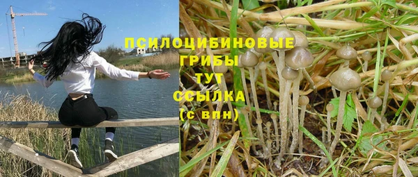 apvp Беломорск